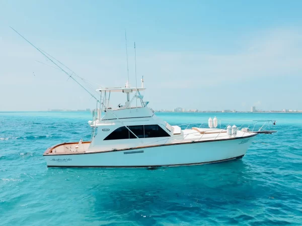 31.-Hatteras 46 Up to 10 people - Image 8