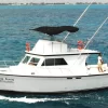 23.-DEFFENDER 48 FT Up to 14 people - Image 2