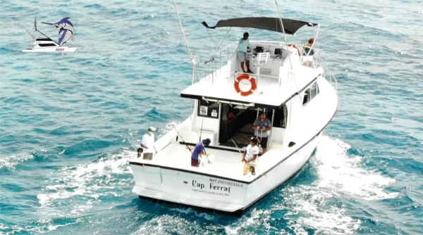 23.-DEFFENDER 48 FT Up to 14 people - Image 3