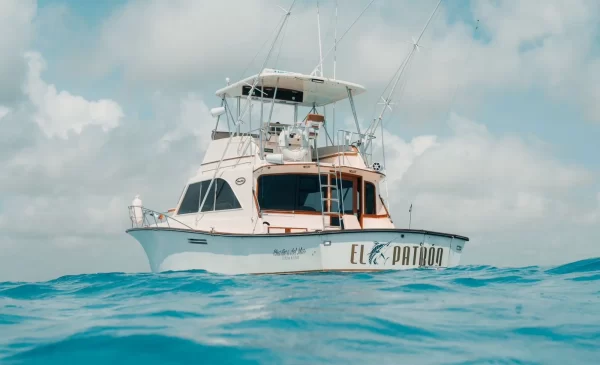 31.-Hatteras 46 Up to 10 people - Image 13