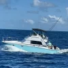 27.-Bertram 40 Ft Up to 12 people