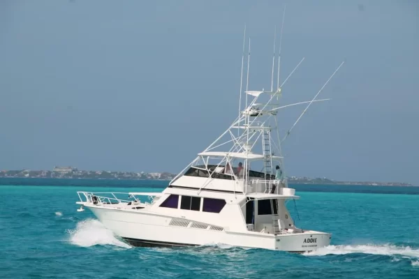 14.Hatteras 60" - Image 7