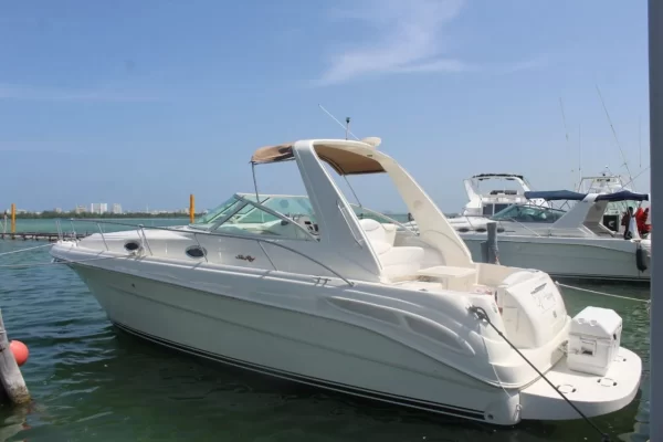 21.SeaRay 35" - Image 4