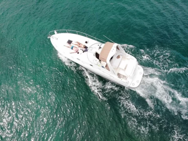 21.SeaRay 35" - Image 7