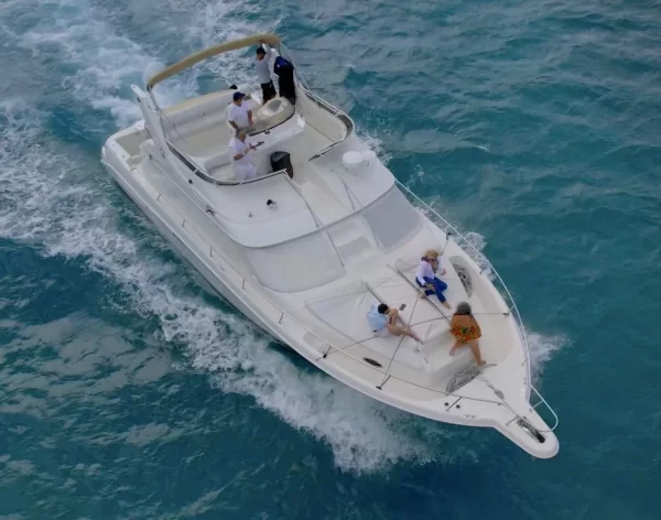 12.SeaRay 46 " - Image 4