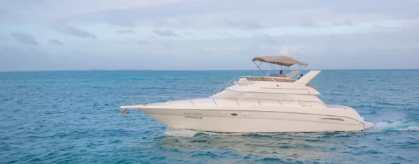 12.SeaRay 46 " - Image 7