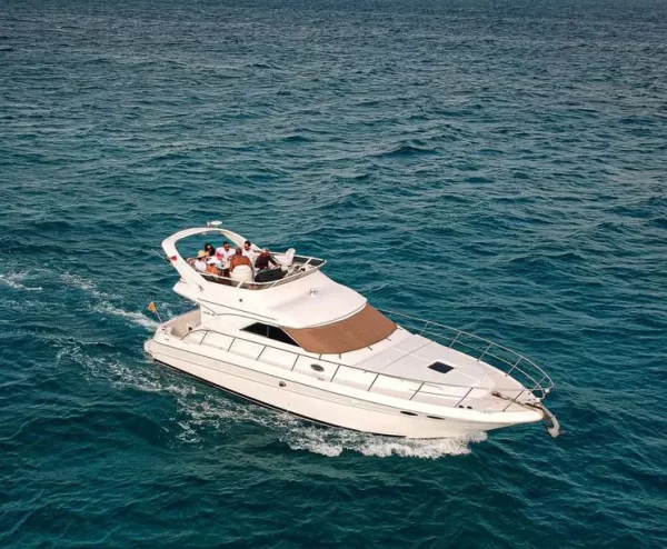 10.Sea Ray 46 " - Image 11