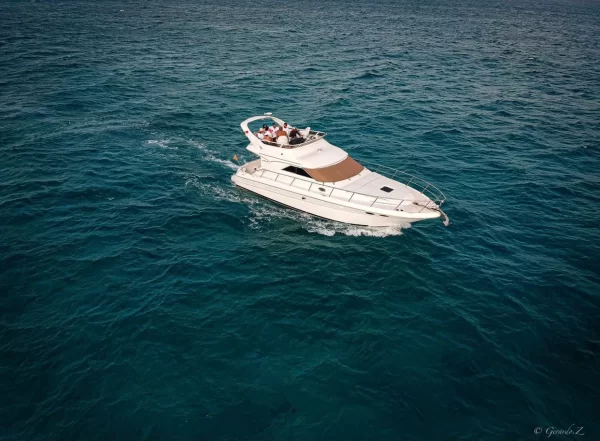 10.Sea Ray 46 " - Image 8