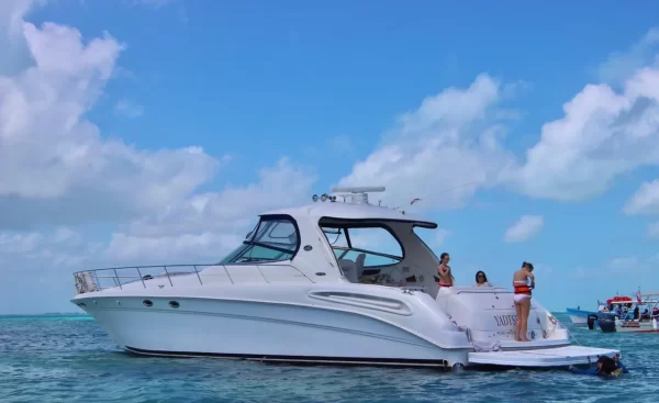 15.SeaRay 60 " - Image 15