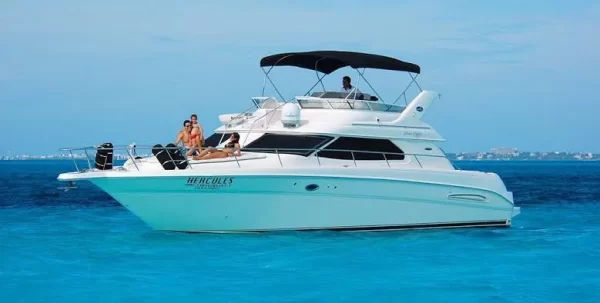 7.SeaRay 46 " - Image 2