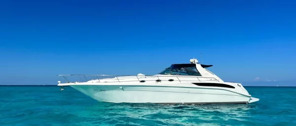 8.SeaRay 46 " - Image 2