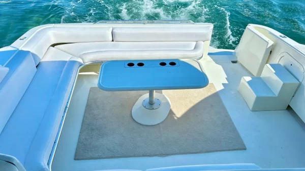 8.SeaRay 46 " - Image 4