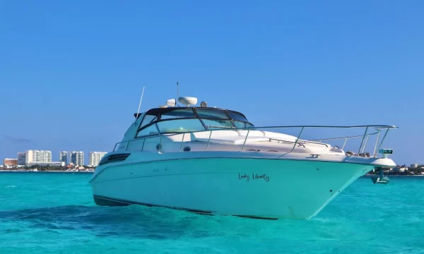 8.SeaRay 46 " - Image 5